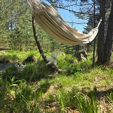 Srce Tornika, Tornik-zlatibor
